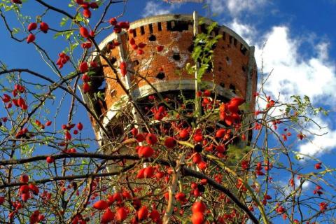 potpis: Foto: Turistička zajednica grada Vukovara