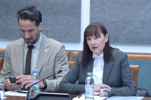 Foto: Hrvatski sabor