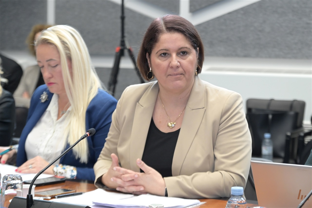 Foto: Hrvatski sabor