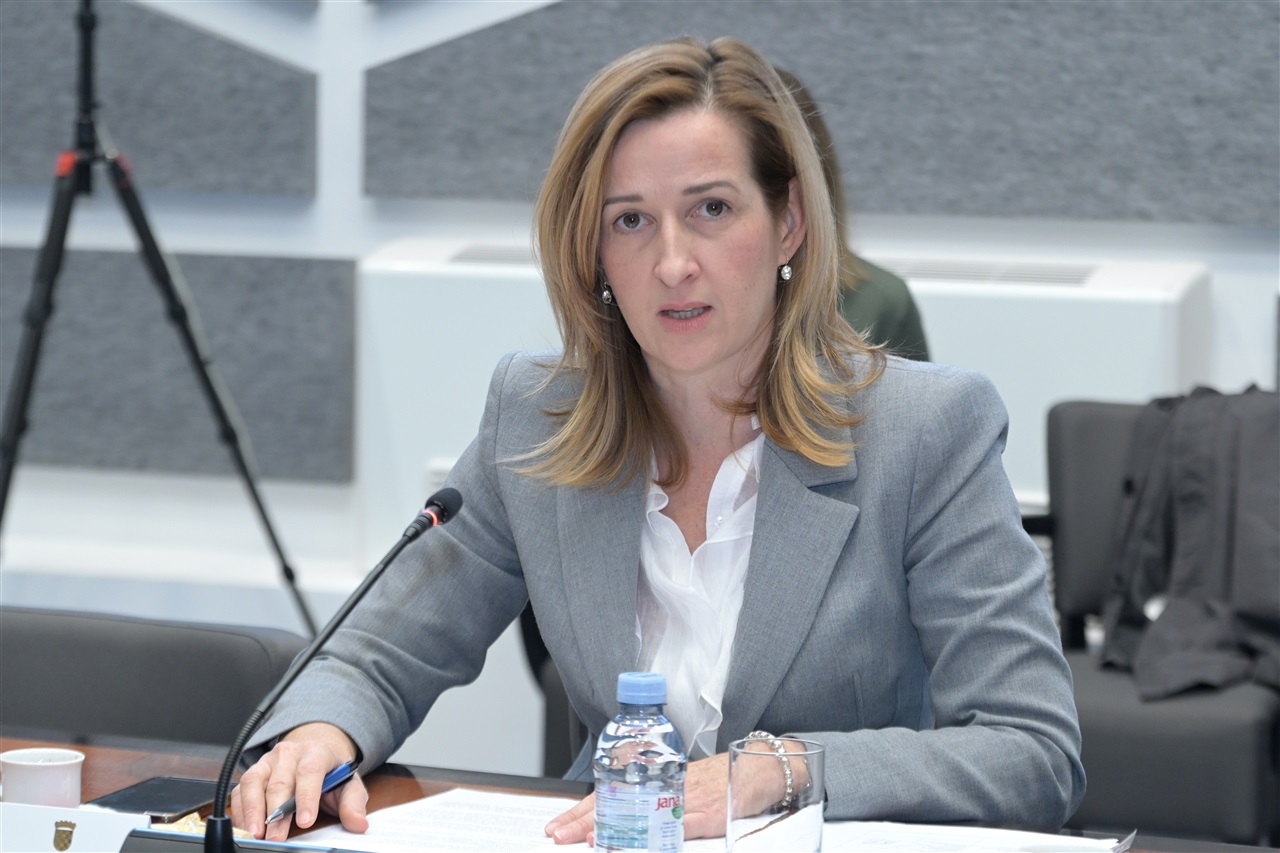 Foto: Hrvatski sabor