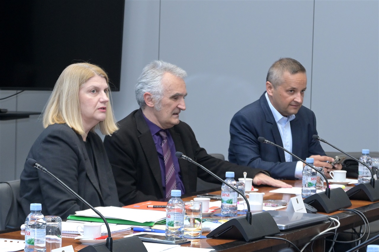 Foto: Hrvatski sabor