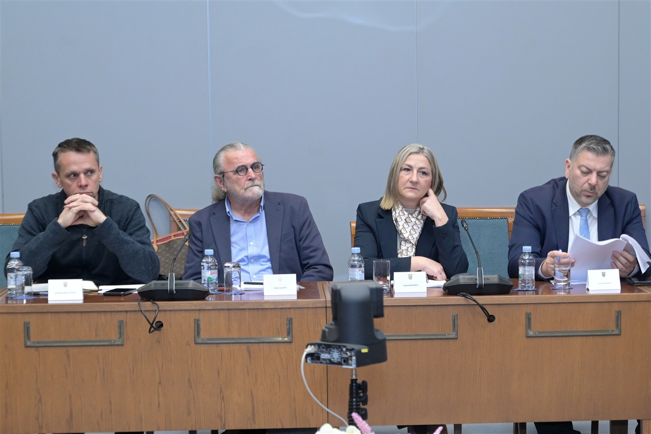 Foto: Hrvatski sabor