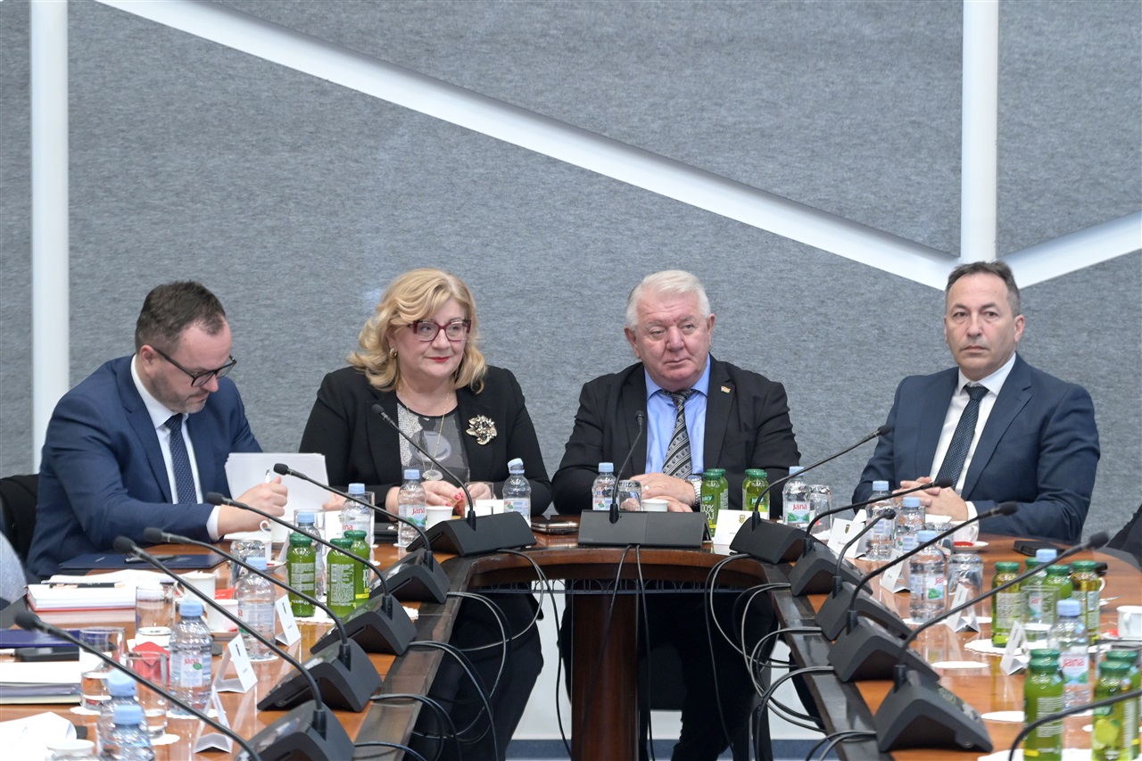 Foto: Hrvatski sabor