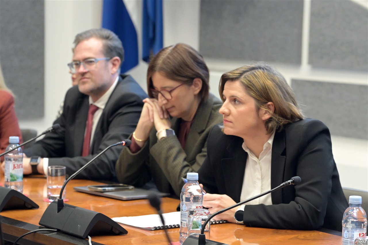 Foto: Hrvatski sabor