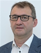 Ledenko, Ivica